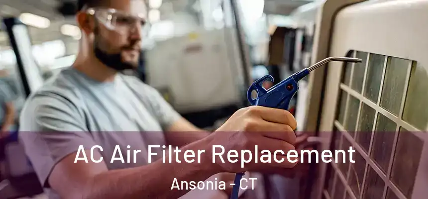  AC Air Filter Replacement Ansonia - CT
