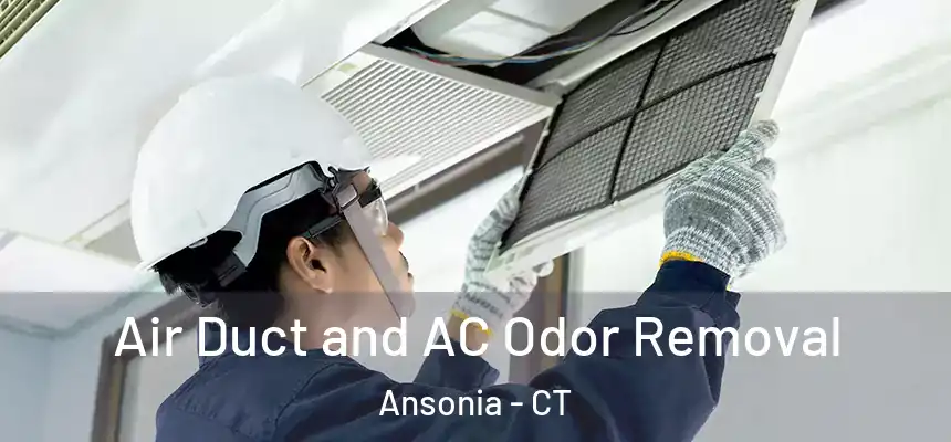  Air Duct and AC Odor Removal Ansonia - CT