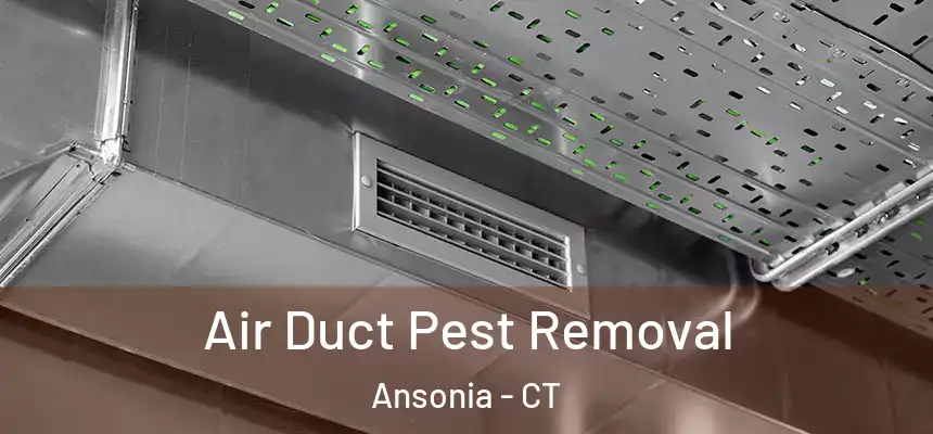  Air Duct Pest Removal Ansonia - CT