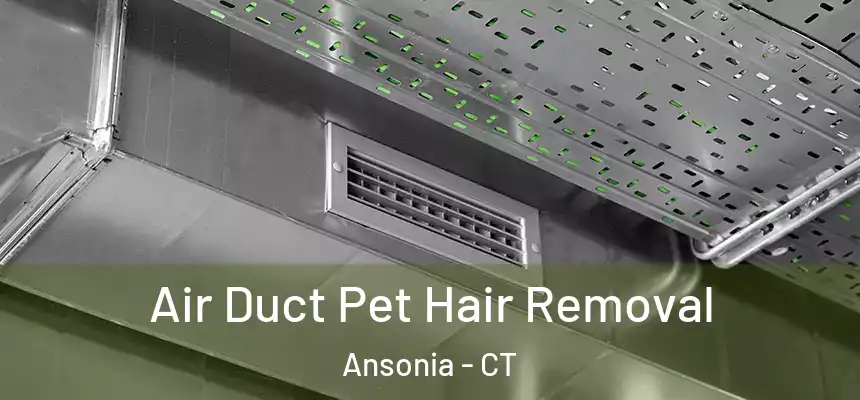  Air Duct Pet Hair Removal Ansonia - CT