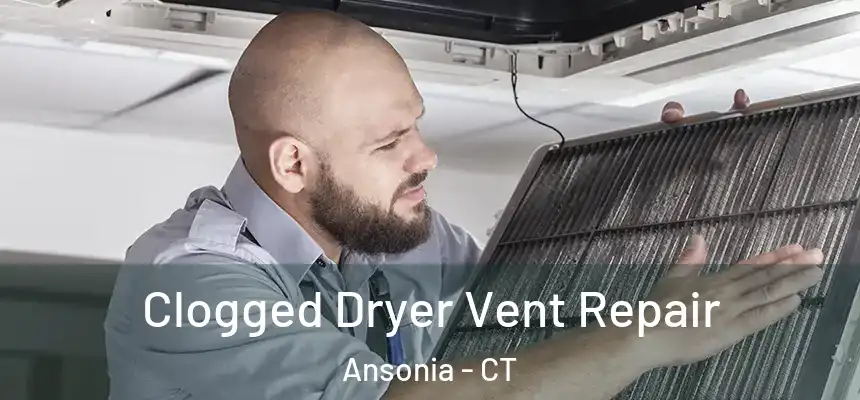  Clogged Dryer Vent Repair Ansonia - CT