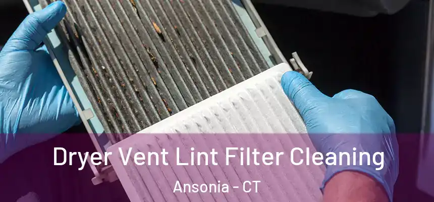  Dryer Vent Lint Filter Cleaning Ansonia - CT