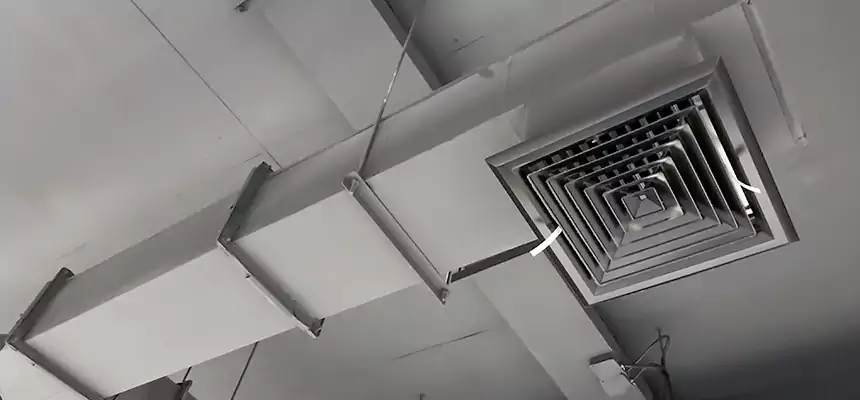 Our Rodent Droppings In Vents Services in Ansonia, CT