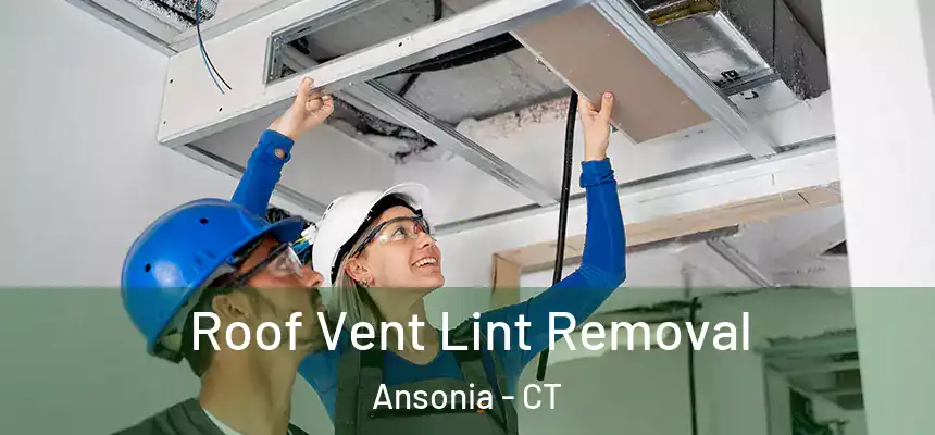  Roof Vent Lint Removal Ansonia - CT
