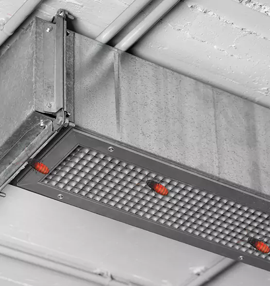 About Air Duct Cockroach Removal in Ansonia, CT