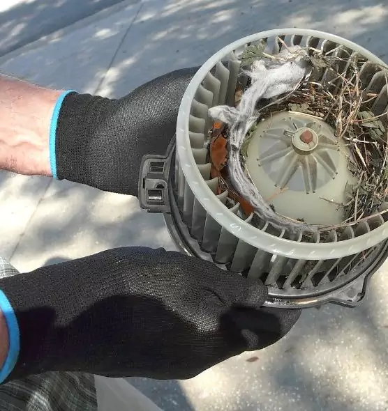 About Air Duct Mice Removal in Ansonia, CT