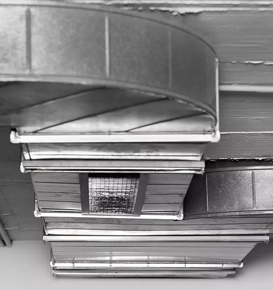 Professional Air Duct Pest Removal in Ansonia, CT