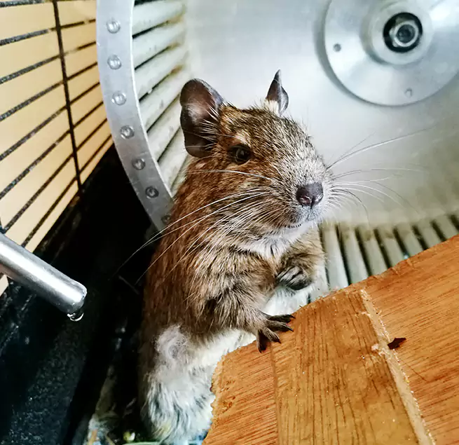 Why Homeowners & Businesses Trust Us Ansonia, CT?