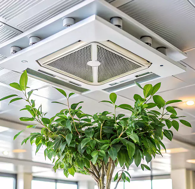 Why Homeowners & Businesses Trust Us in Ansonia, CT?