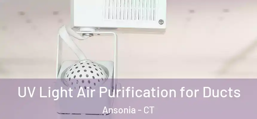  UV Light Air Purification for Ducts Ansonia - CT